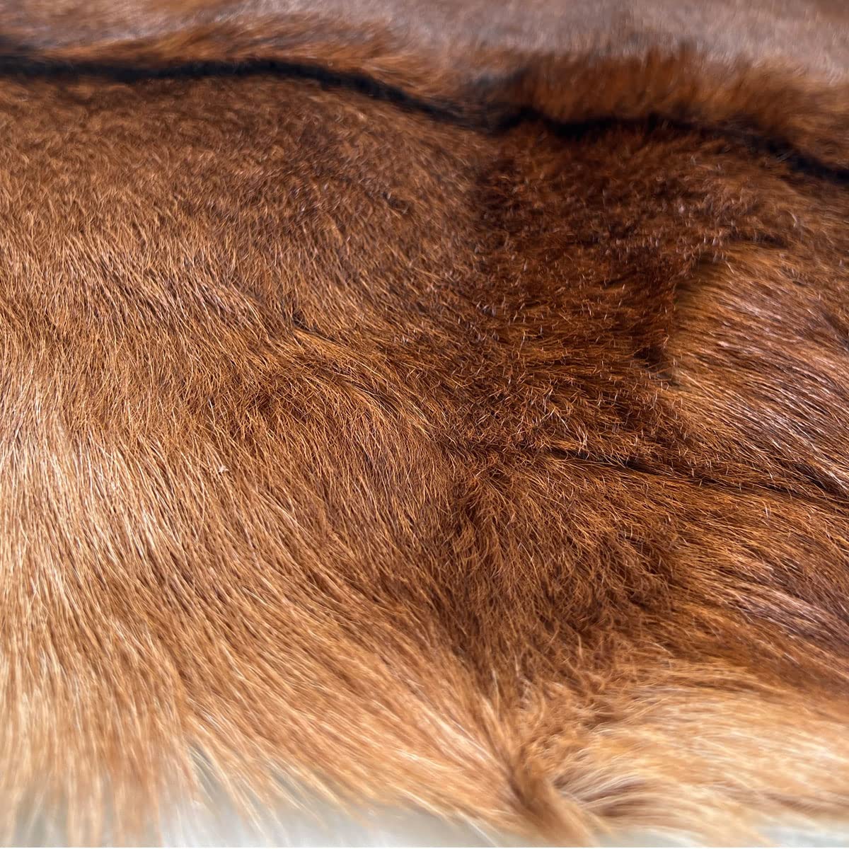 Amazon | 赤い鹿の皮の敷物 鹿の皮の敷物 鹿の剥製 暖炉 鹿革 装飾