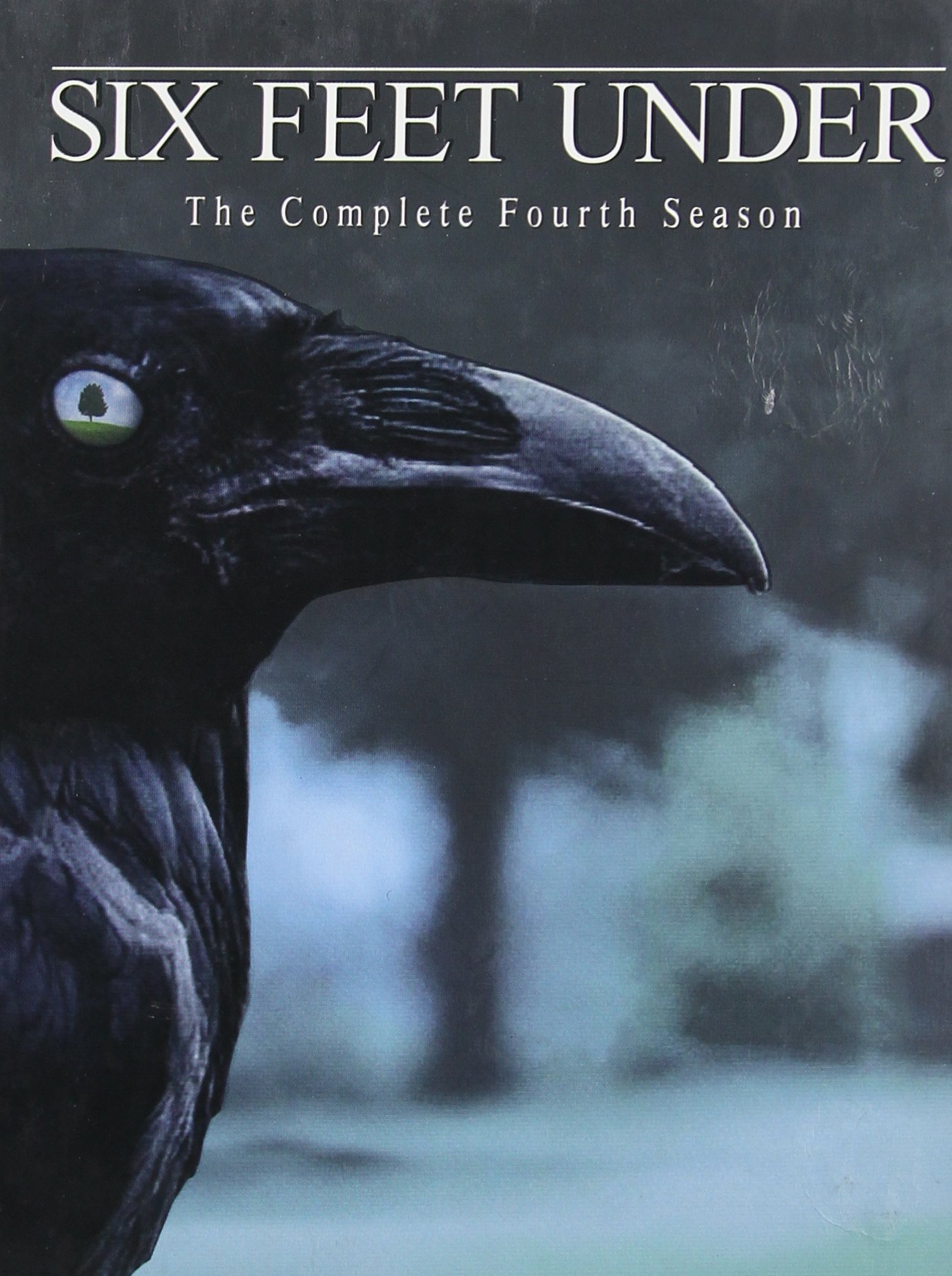 Six Feet Under: The Complete Fourth Season [DVD]
