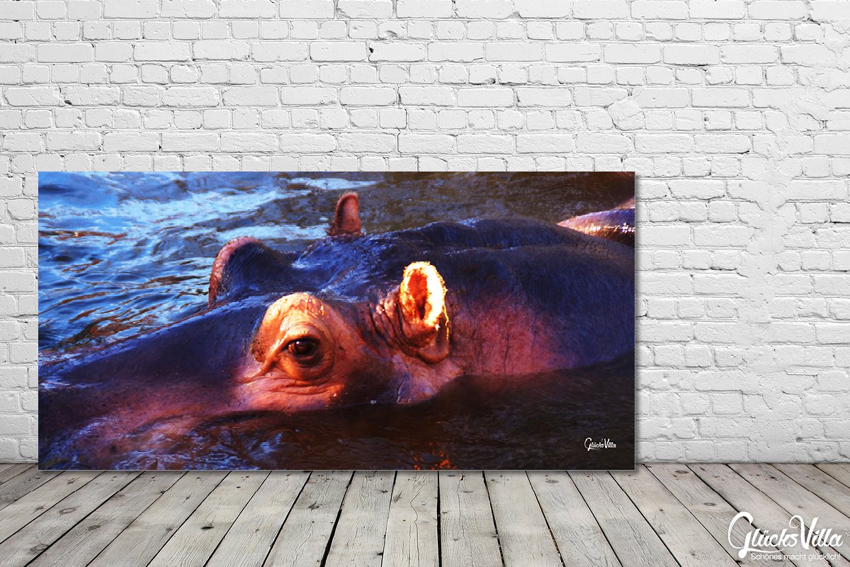 Glücksvilla - Nilpferd 1 (Leinwand-Bild 2 cm, 80 x 40 cm) | div. Maße - aus DE - Kunstdruck Deko Wandbild quer - Wildnis Afrika Natur Tier Hippo