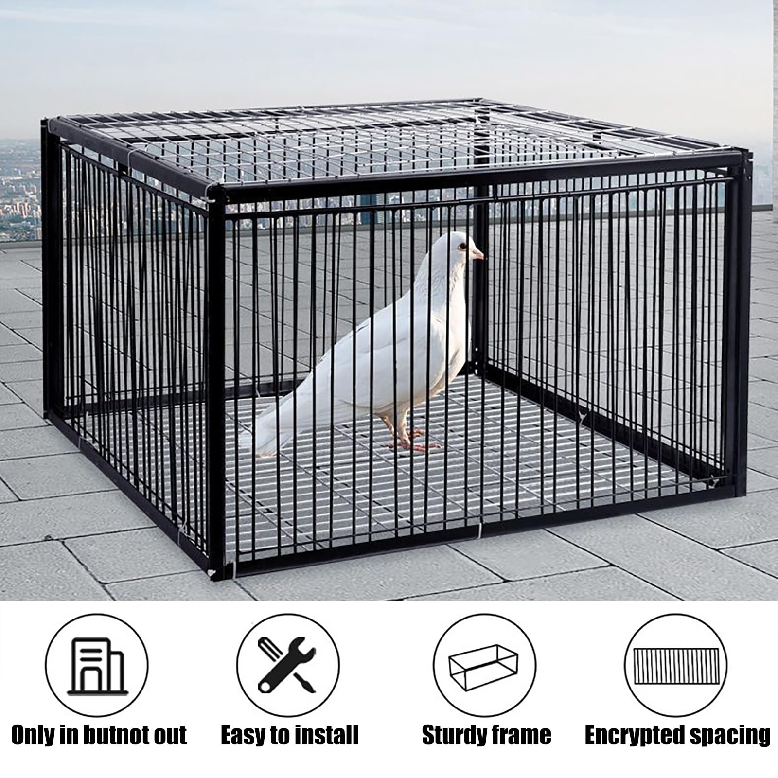Trampa para Palomas con Diseño A Prueba De Escape, Jaulas Humanas para Animales Vivos, Jaula para Palomas con Entrada Unidireccional, Jaula para Trampa para Pollos Y Pájaros, Fácil Montaje (Si