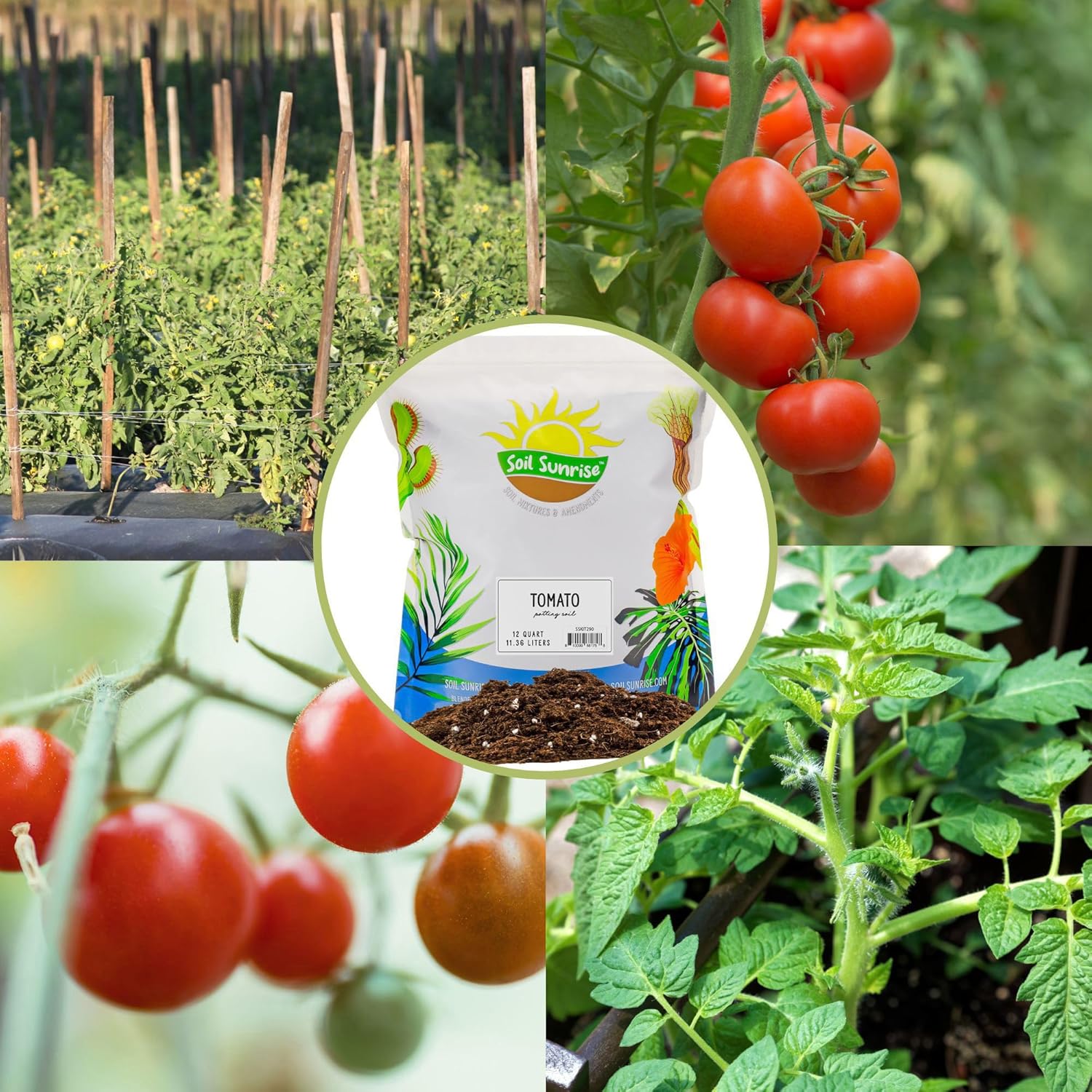 All Natural Tomato Starter/Potting Mix (12 Quarts), Perfect Backfill for Outdoor Tomato Plant Holes, Hand Blended with Natural Ingredients Including Worm Castings (Pack of 2)