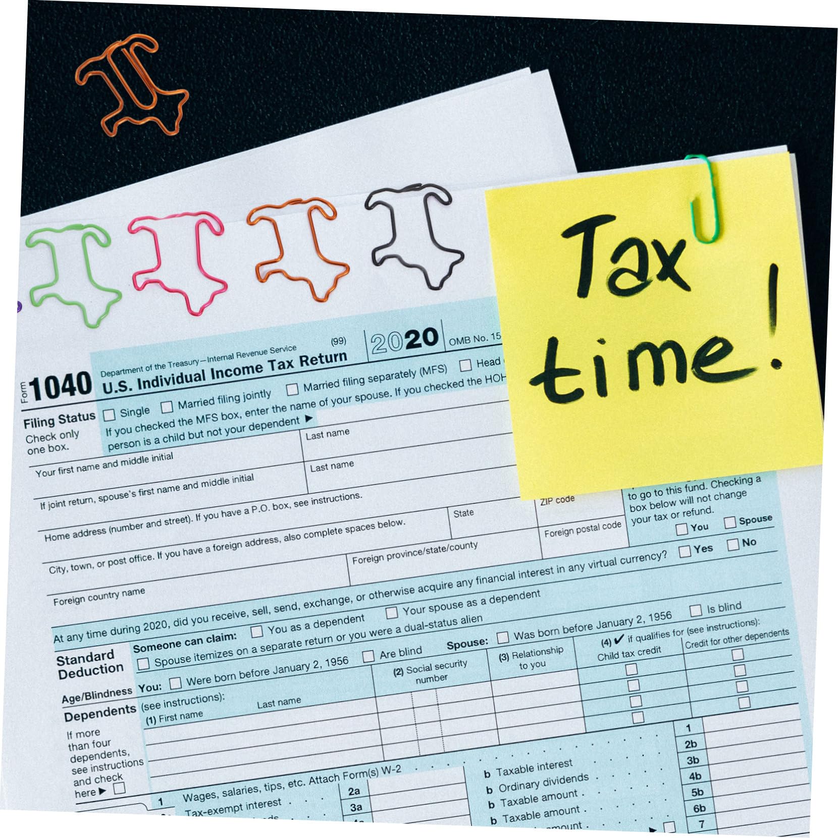 NUOBESTY 5 Set Di Graffette Decorative A Forma Di Animale Design Elegante Per Ufficio E Scuola 60 Pezzi * 5