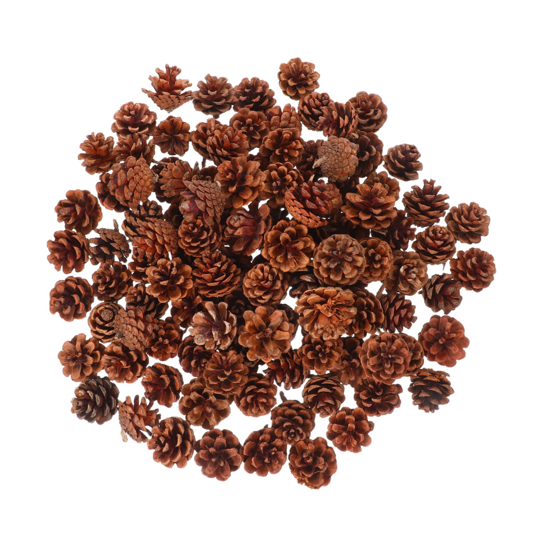 ERINGOGO 130 Pezzi Pigne Piccole Naturali per Decorazioni Natalizie e Autunnali, Riempitivo per Vaso in Pigne di Pino 3-4cm, Perfette per Decorazioni Fai da Te in Inverno e Ringraziamento