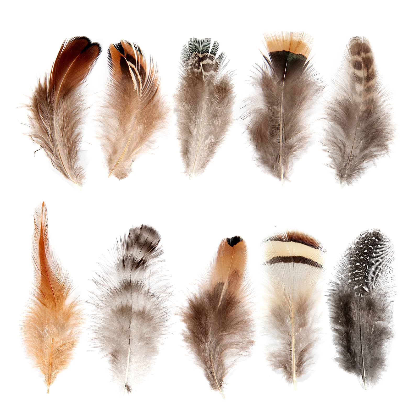 Lamar Feather Natural Pheasant Feathers 10 Style 100Pcs Assorted Feathers for Cowboy Hat, Jewelry Making, Home Crafting, Wedding Party