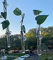 Vista 5 de Jarrones de propagación de ventanas, jarrones de tubos de ensayo de vidrio con ventosas para propagación, proyectos hidropónicos, decoración