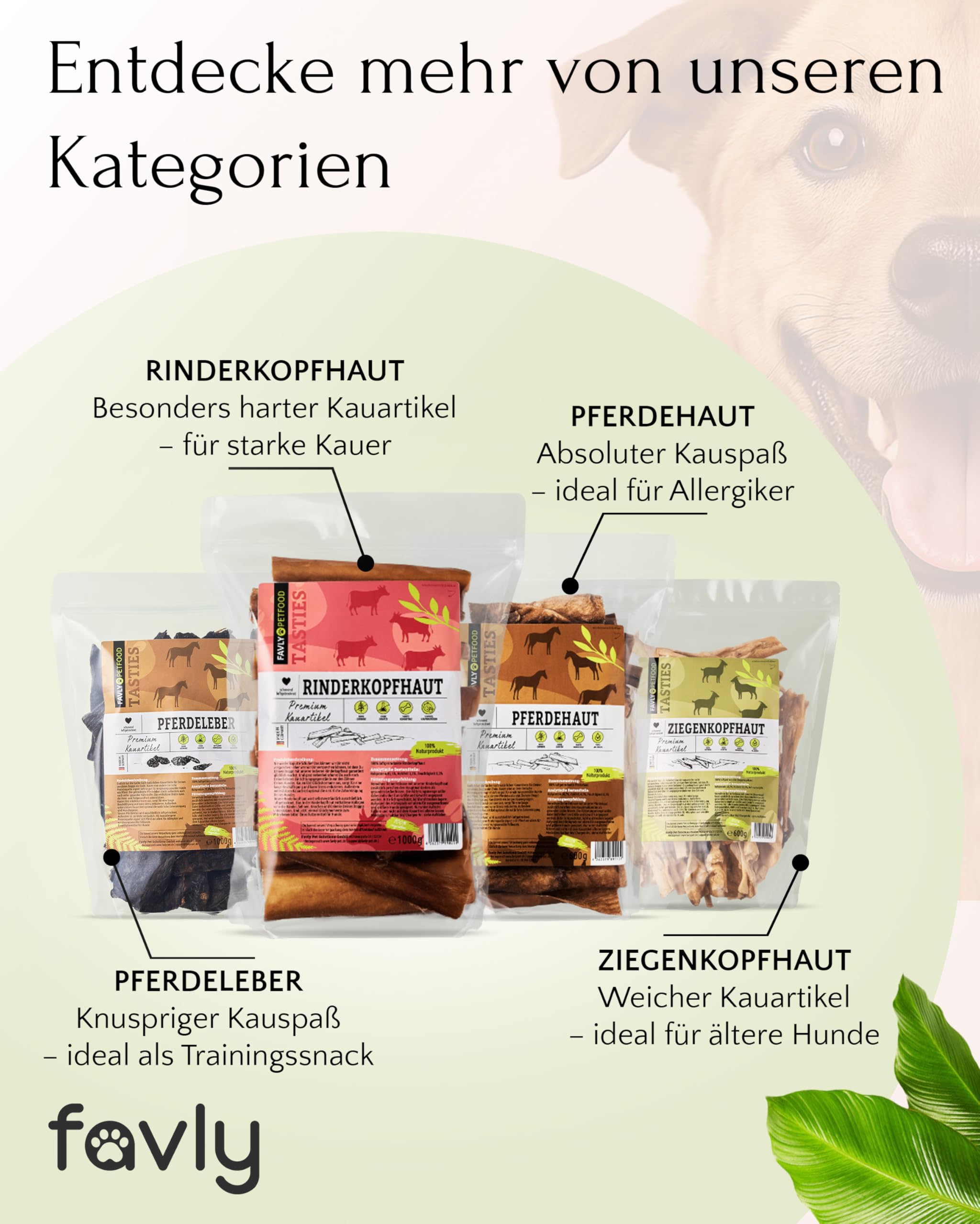 FAVLY – Premium Lammohren 2x450g für Hunde – luftgetrockneter Kauartikel zur Zahnpflege – 100% natürlicher Hundekausnack ohne Zusätze – besonders gut verträglich & hypoallergen