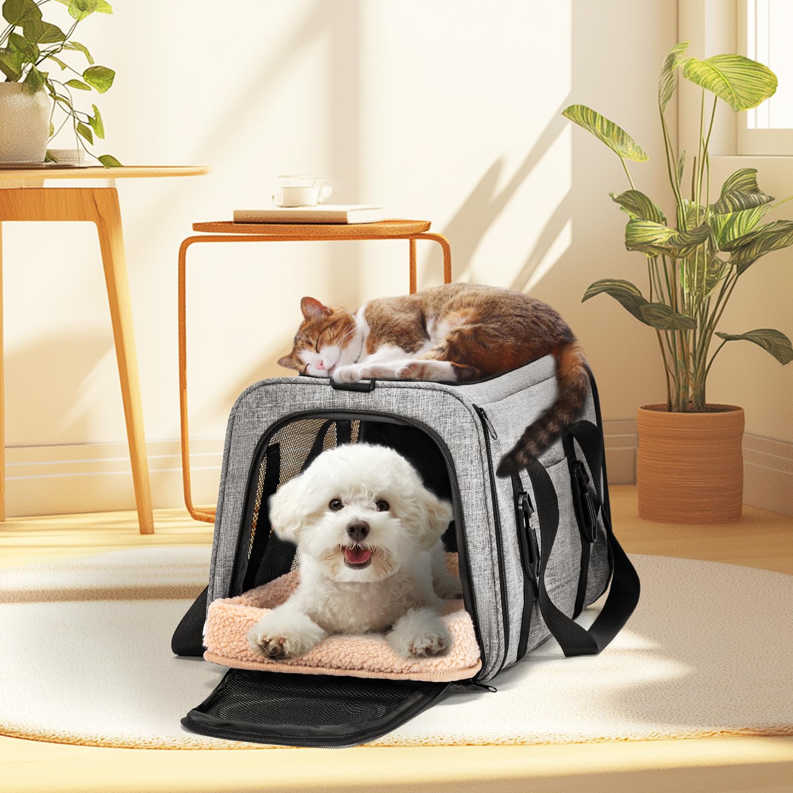 Petsfit Transportín para gatos y perros para coche, transportador para perros, plegable, con 2 hebillas patentadas para asiento de coche, red de 4 lados y cojín extraíble, L/gris