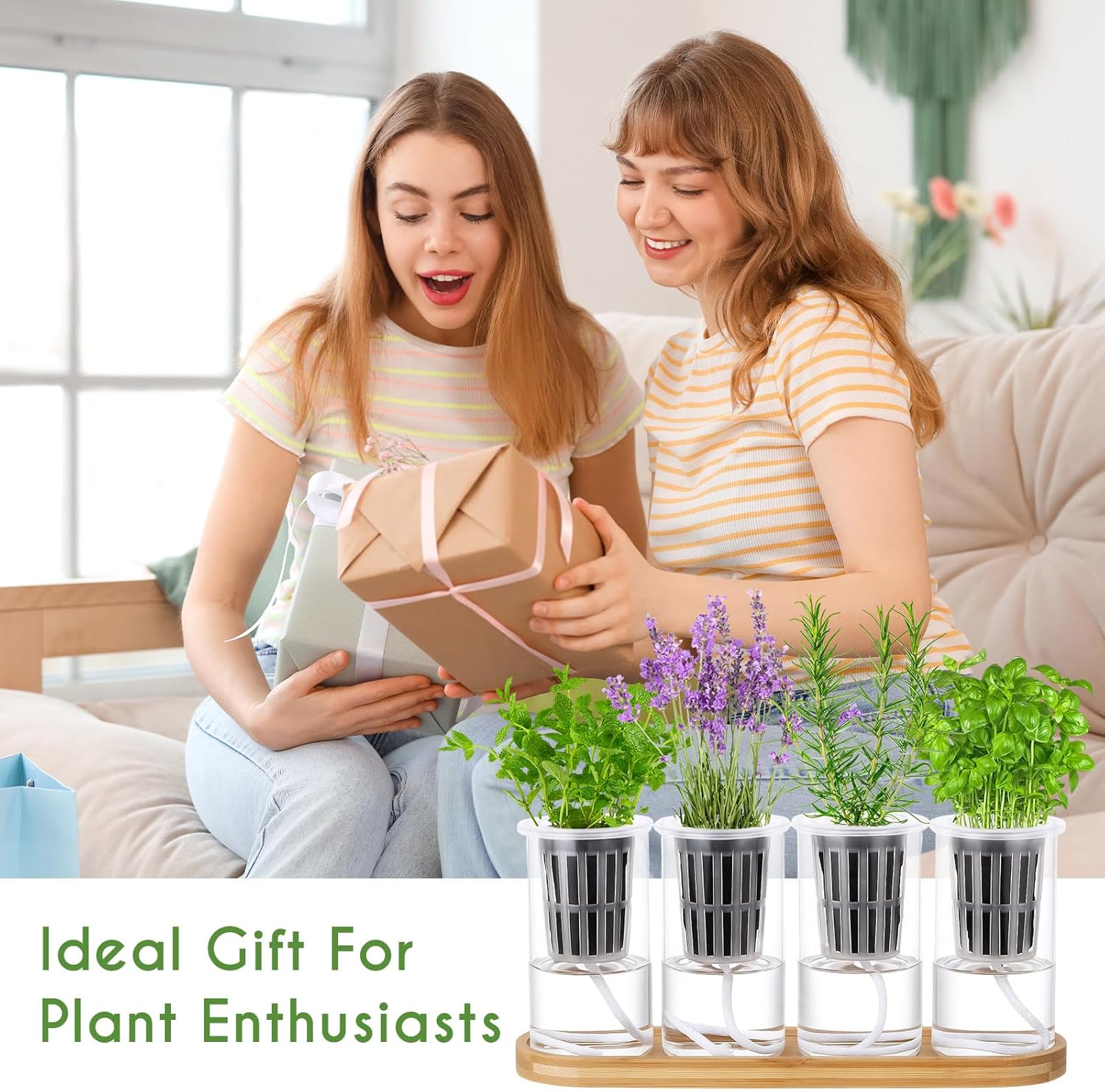 Teenyyou 8 Pcs Hydroponic Herb Planter Growing Kit Self Watering Glass Vase with Wooden Stand Herb Garden Starter Kit for Propagating Hydroponic Plants Centerpiece Office Home Garden Decor
