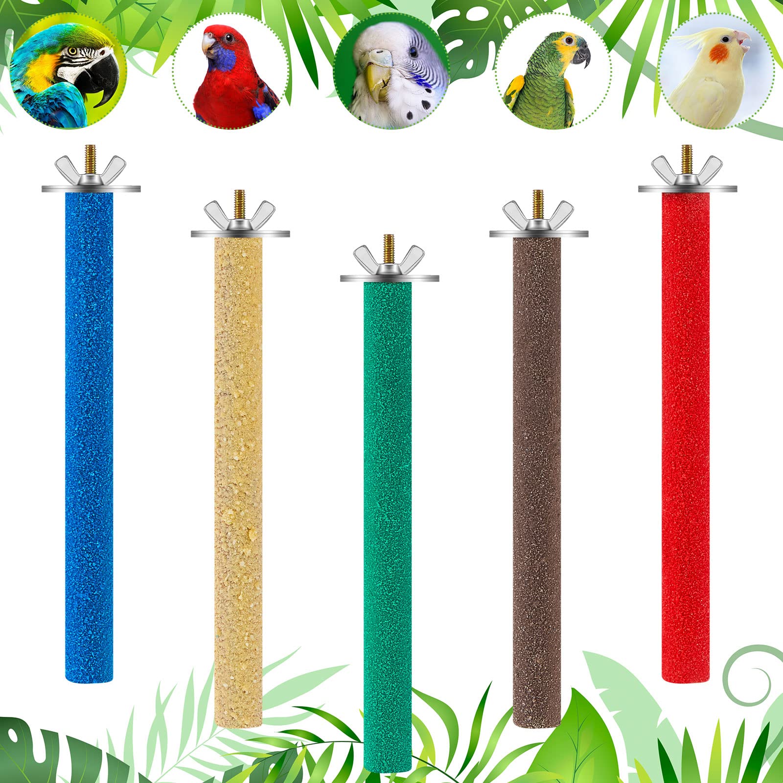 10 Pieces Bird Perch Stand Parrot Stand Paw Grinding Stick Parrot Perch Rough Surfaced Bird Cage Stand Colorful Wooden Parakeet Perch Toys for Cockatiels Cage Accessories 3