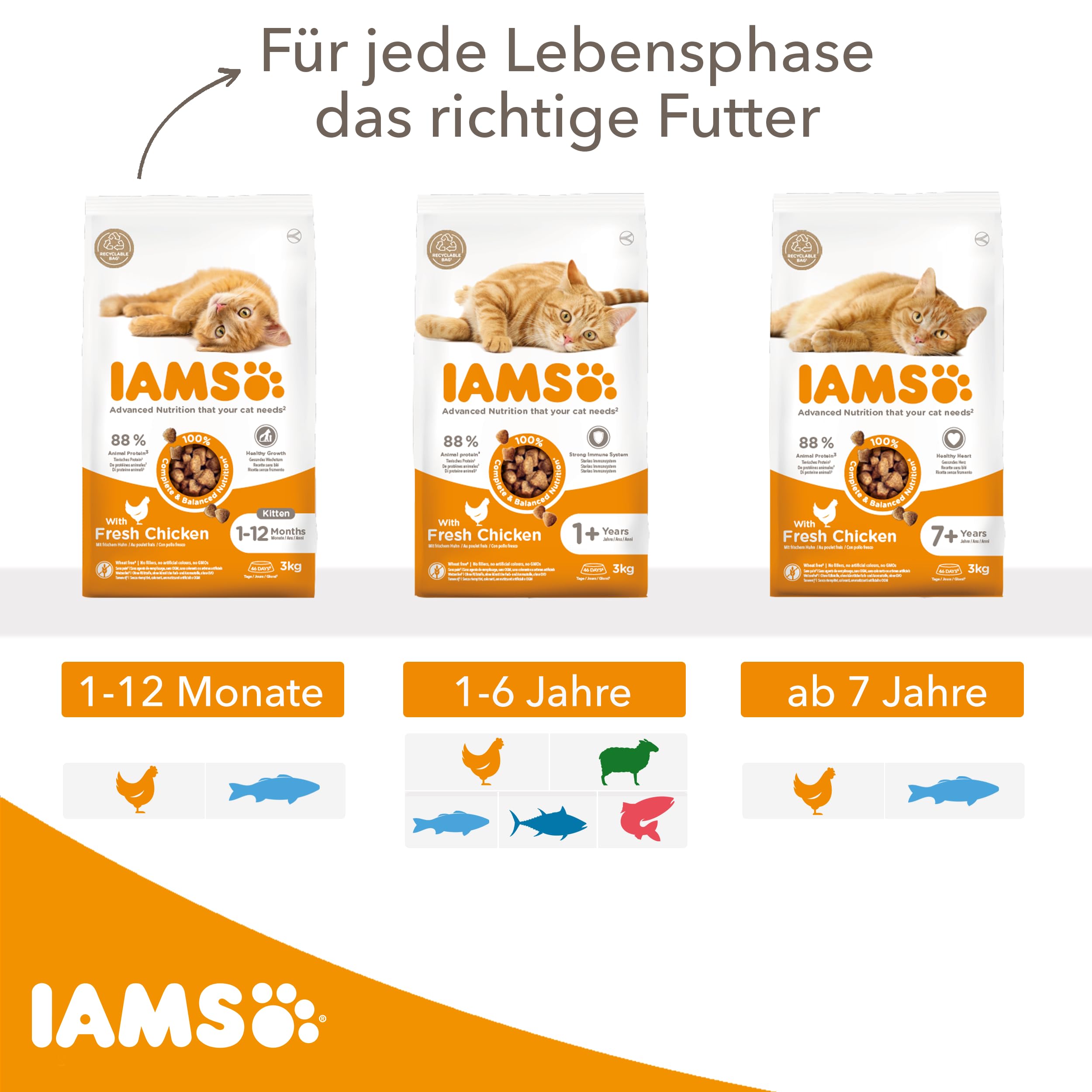 IAMS Katzenfutter trocken mit Huhn - Trockenfutter für Katzen im Alter von 1-6 Jahren, 10 kg