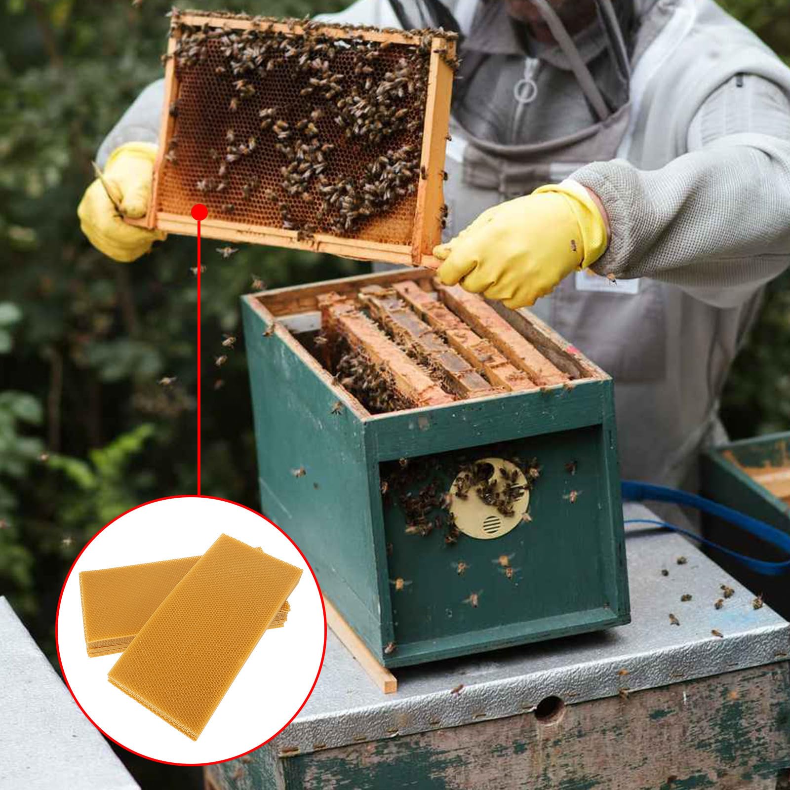 30 Pezzi Foglio di Base in Cera D'api per Arnia, Foglio a Struttura Esagonale, Giallo, per Api e Apicoltori, per Costruzione del Favo