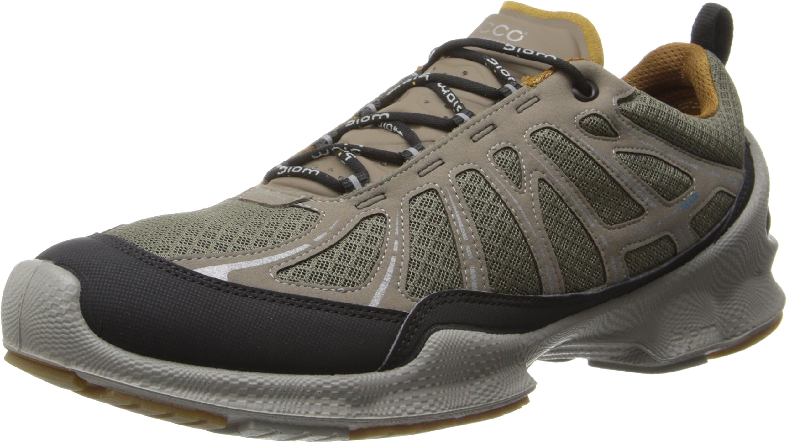 ECCO Men's Biom Train Core Oxford