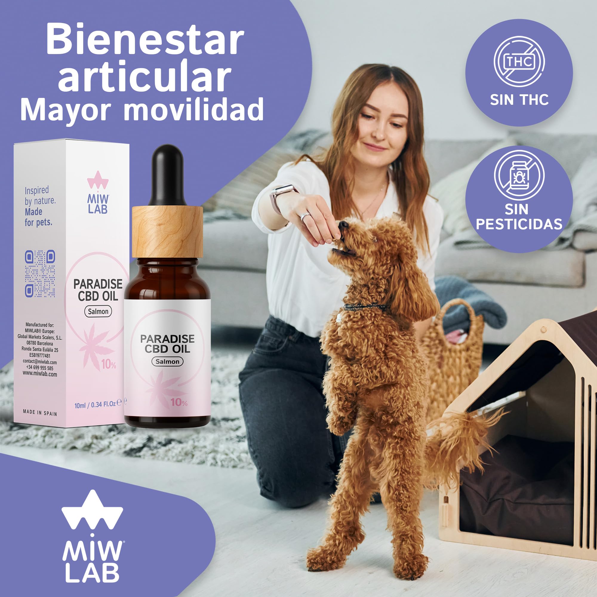 Paradise Aceite 10% CBD Relajante Natural para Gatos y Perros Hecho en España 240 Gotas Calmantes con Cannabidiol Tranquilizante de Ansiedad Dolor y Recuperación del Apetito Digestión y Articulaciones