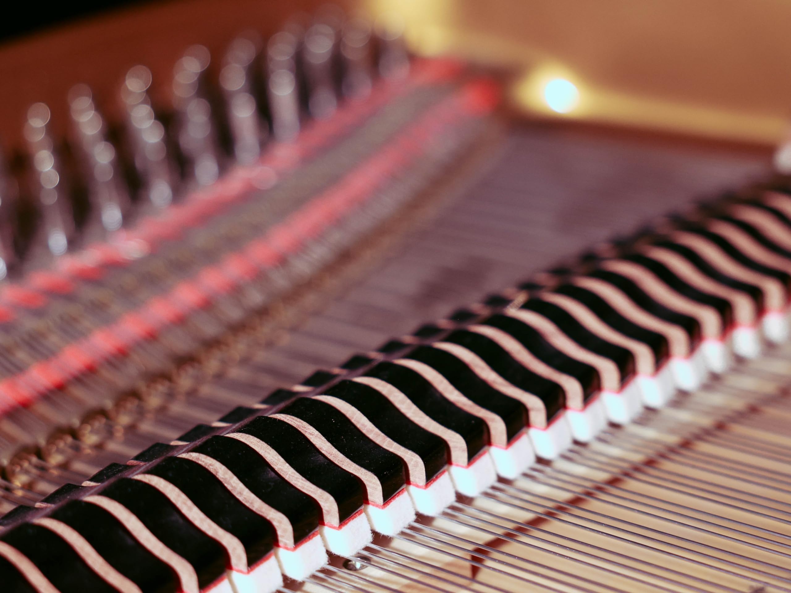 Marcel Sebastian Kaufmann