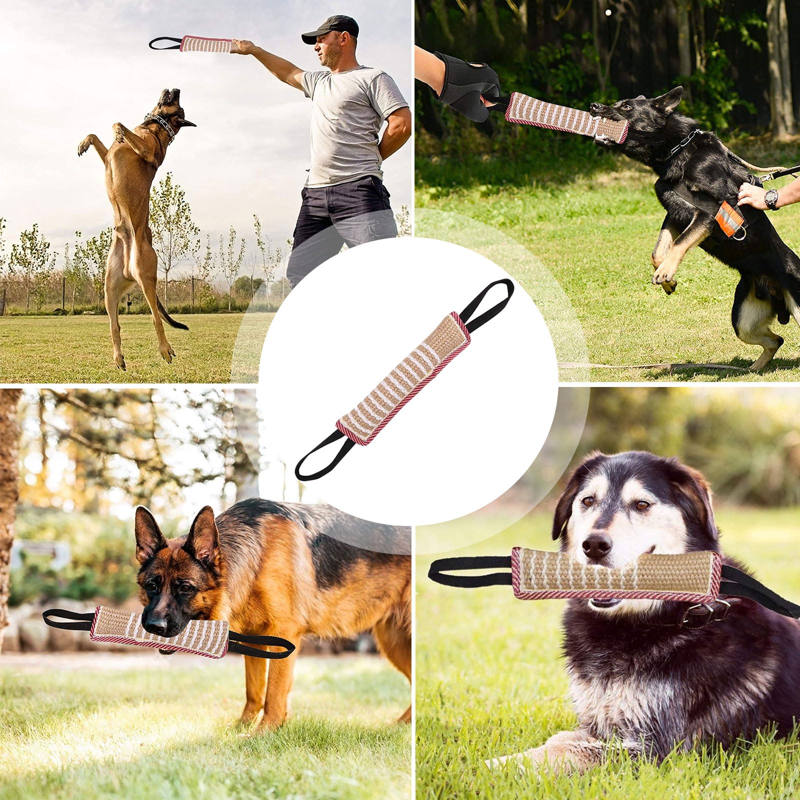 Juegos Interactivos Para Perros Juego De Salchichas De Yute Para - Main Image