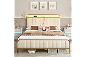 Rolanstar Queen Bed Frame with LED Light and Charging Station
