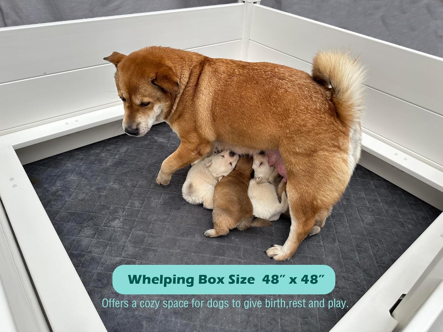 Whelping Box for Dogs,48 * 48 * 18in,with Pig Rails and Washable Pee Pad,for Small and Large Breed Puppies (Whelping Box with Pad)