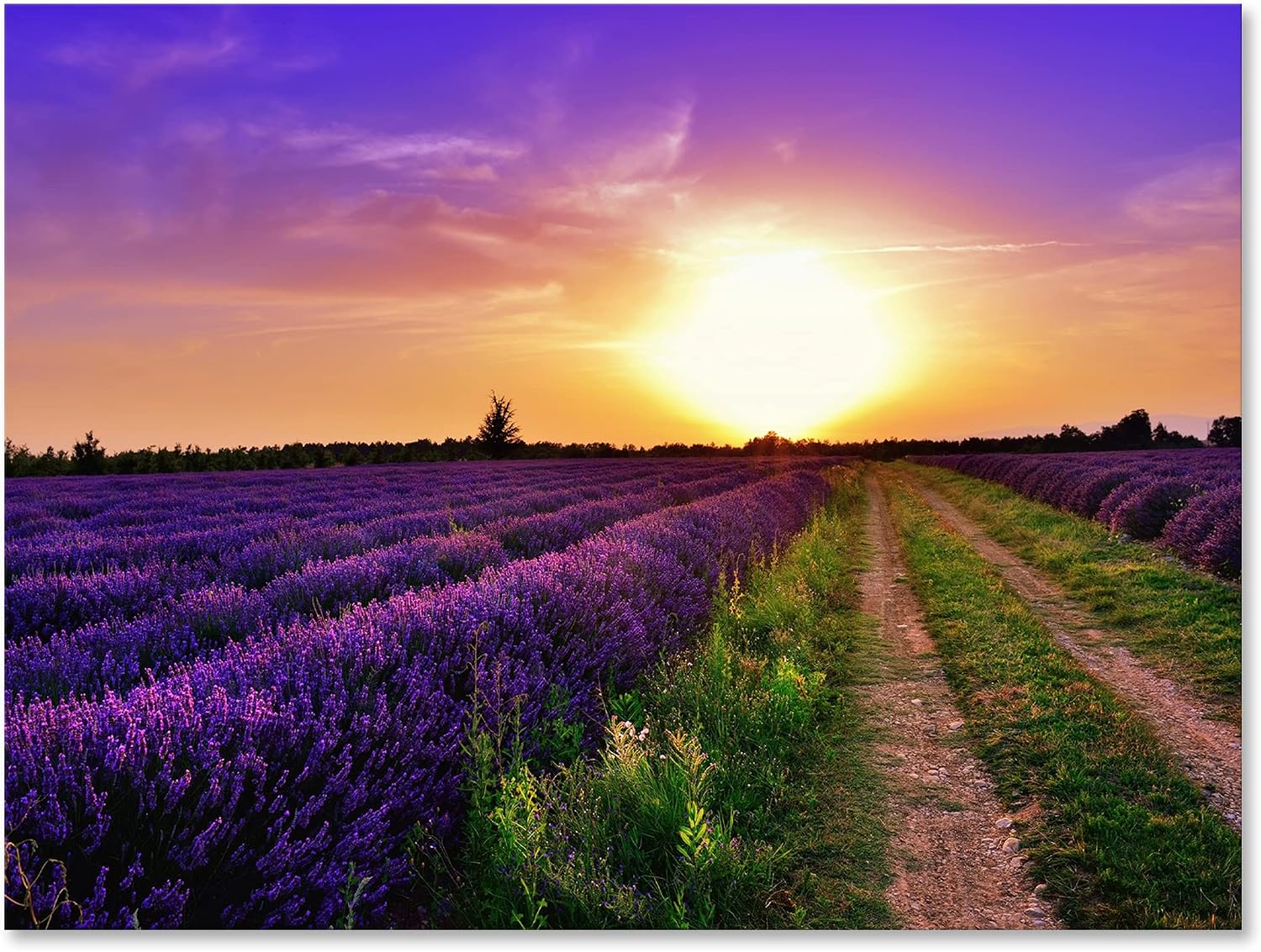 DesignQ Lavender Field At Dawn II Farmhouse Canvas Wall Art