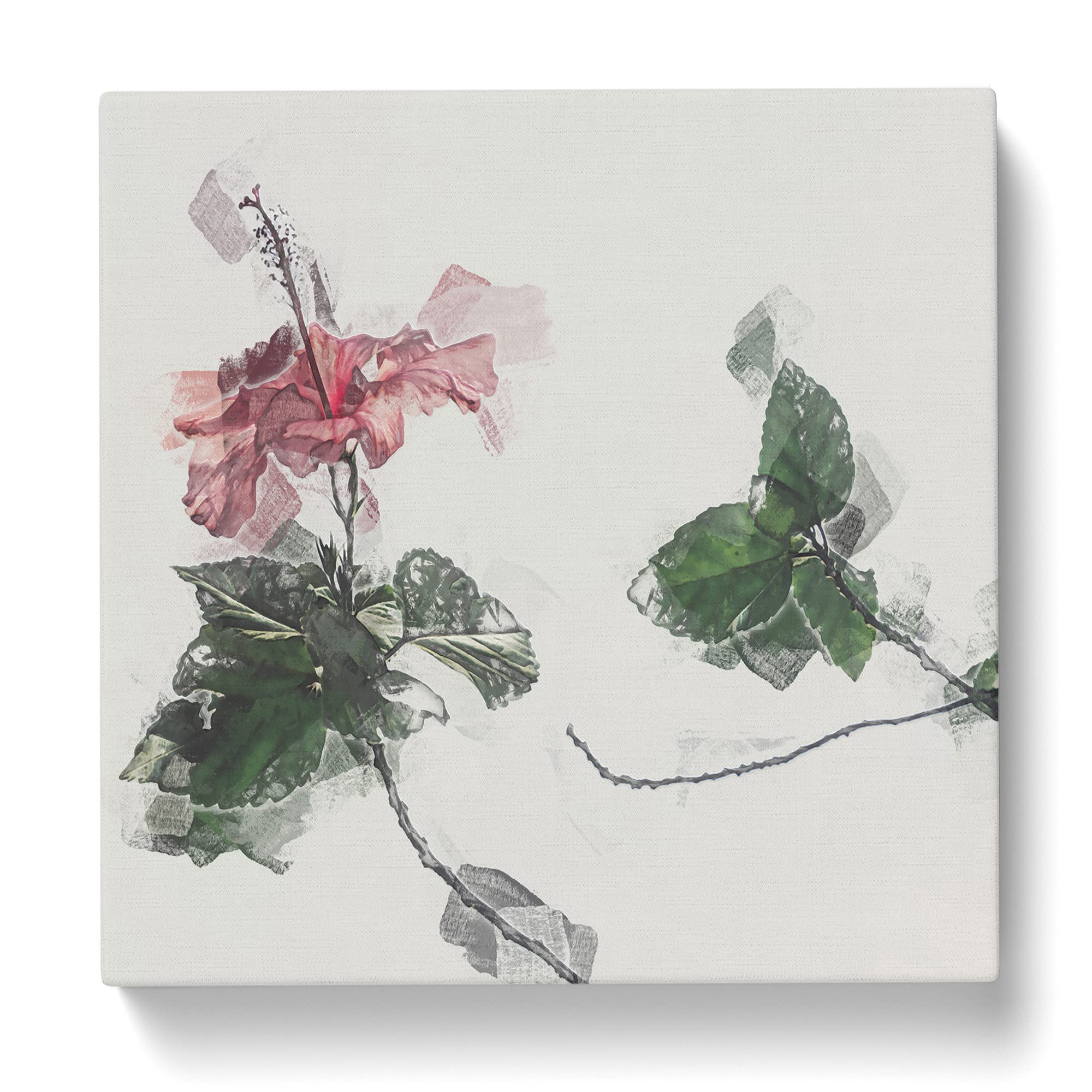 Pink Hibiscus Plant Canvas Print, Mixed, 35L x 35W cm - Image 3