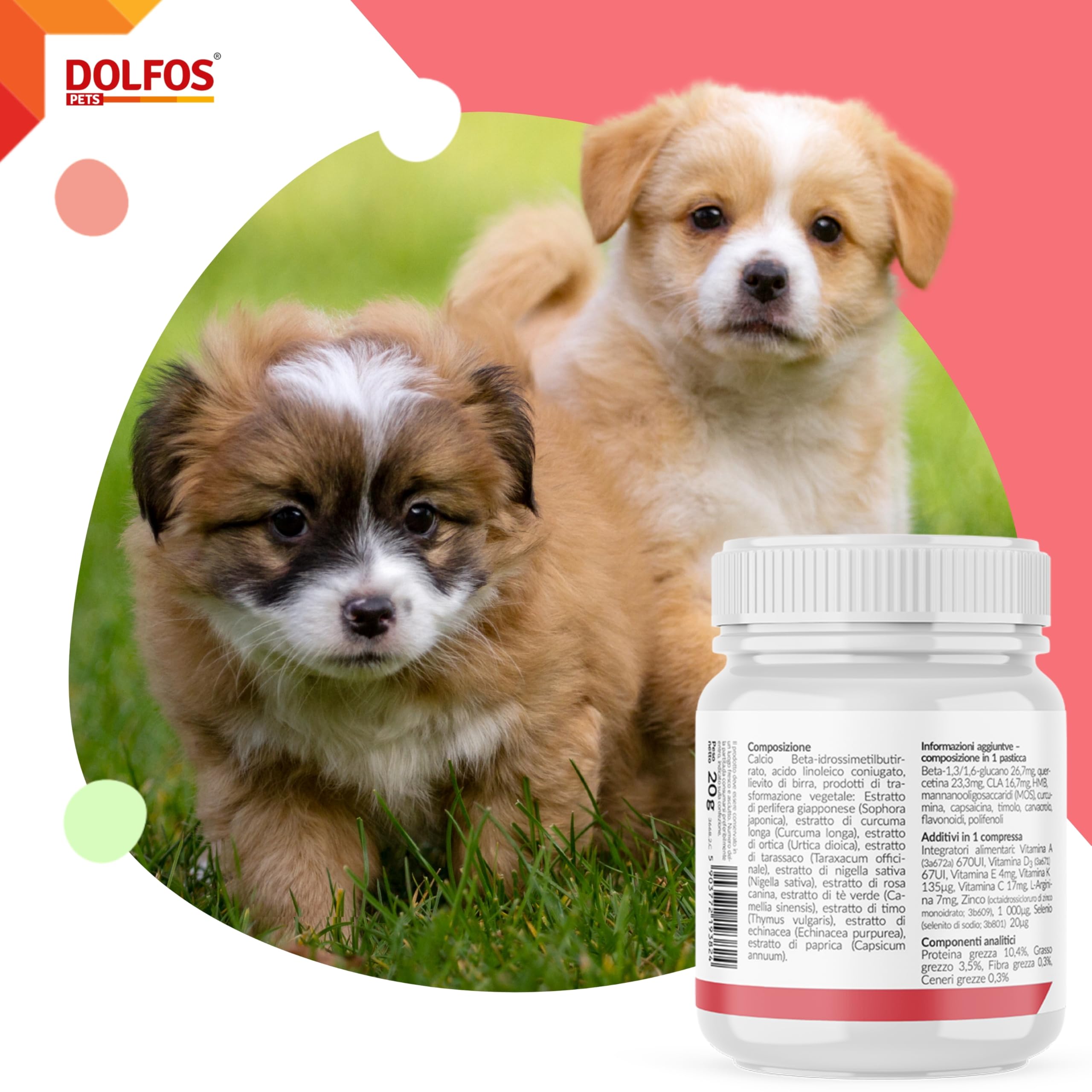 Dolfos Carcifin 60 Mini Compresse, Integratori per Cani Supporto Oncologico con Curcumina e Quercetina, Integratori per Cani Terapia Antitumorale e Sistema Immunitario