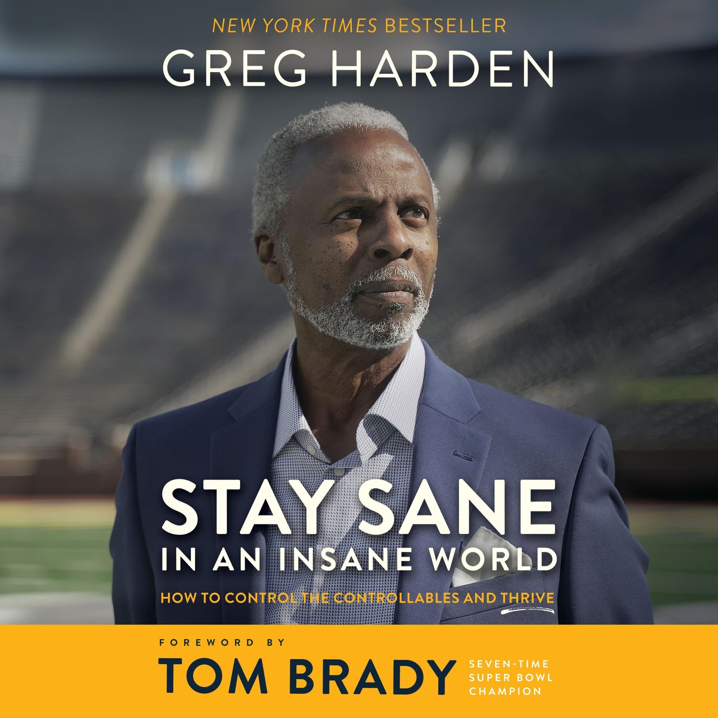 Cover art for Stay Sane in an Insane World