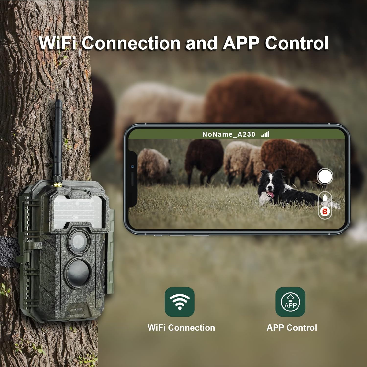DigitGarden WiFi Trail Camera Our Comprehensive Review