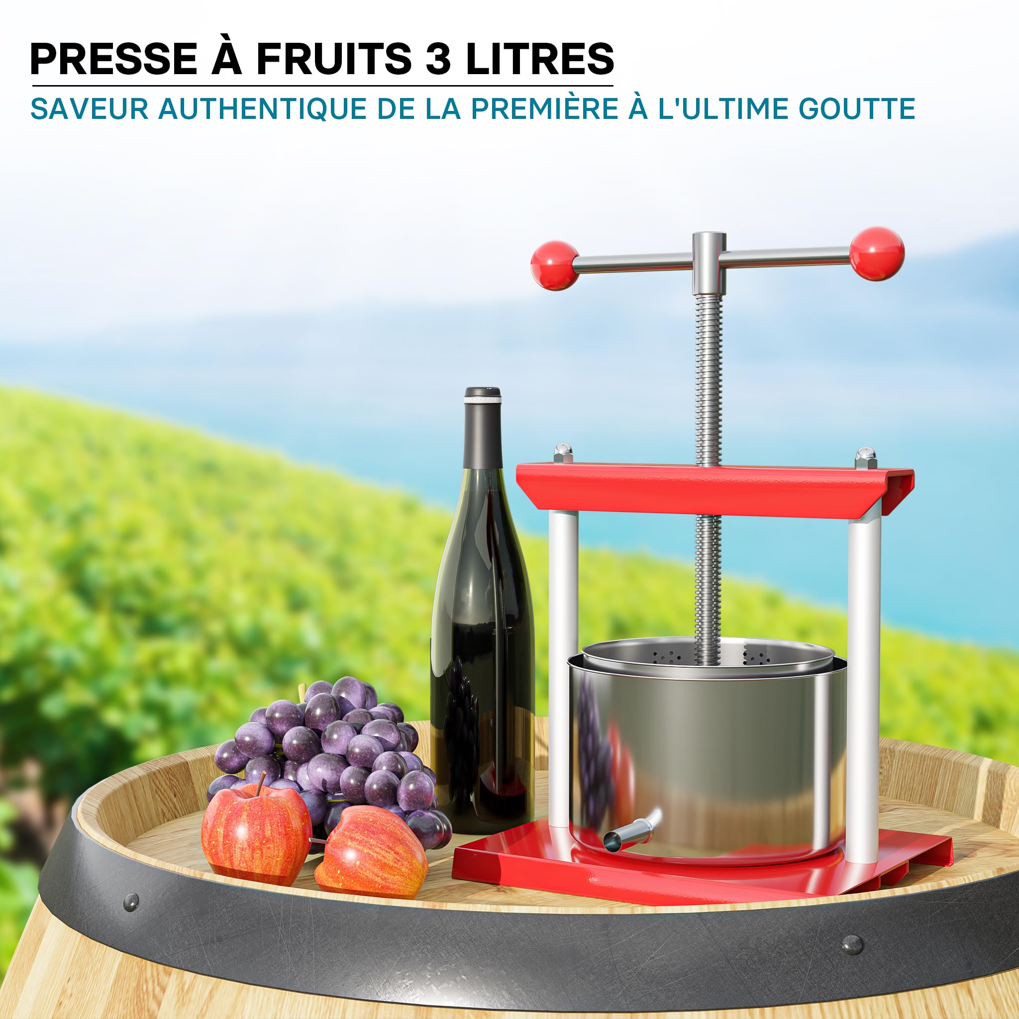 Wiltec Presse à fruits à vis – 180 x 180 x 115 mm – capacité 3 L – double Cuve en Acier inoxydable – Pressoir manuel facile à nettoyer pour Moût de pomme poire raisins baies – Vin Cidre
