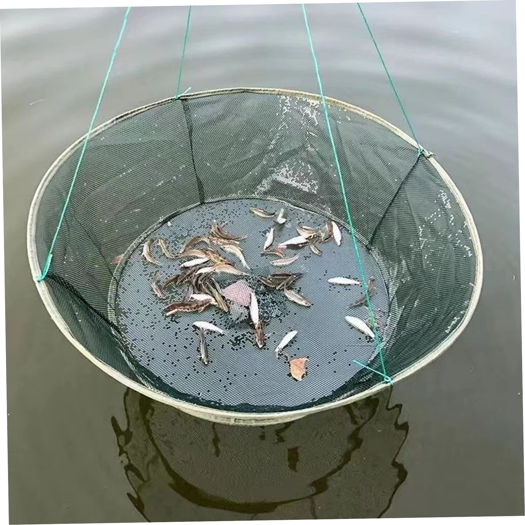 Automatic Folding Fishing Net Prawn Shrimp Cage Nylon Crab Net Nylon Foldable Crab Fish Trap Cast Net Folding Fishing Network - 18 Automatic Folding Fishing Net Prawn Shrimp Cage Nylon Crab Net Nylon Foldable Crab Fish Trap Cast Net Folding Fishing Network - 18