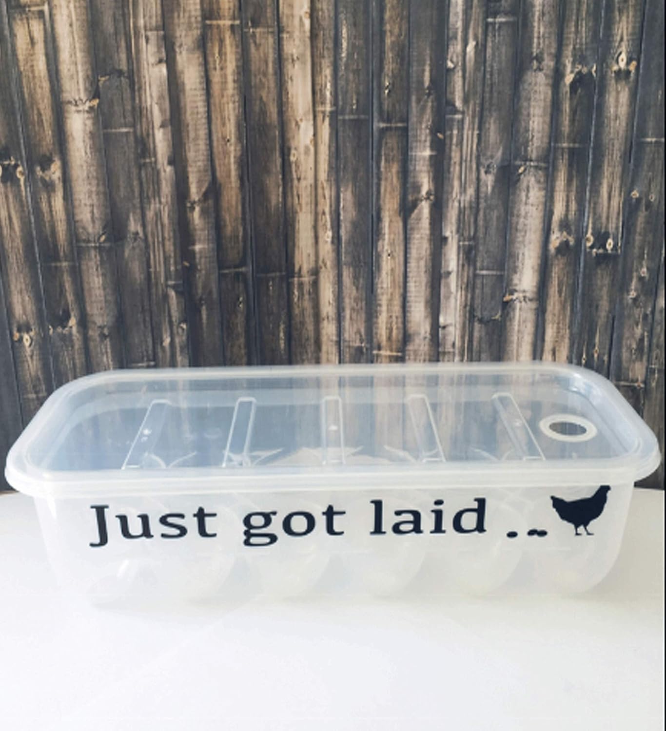 Plastic Egg Storage Containers with Lids and Custom