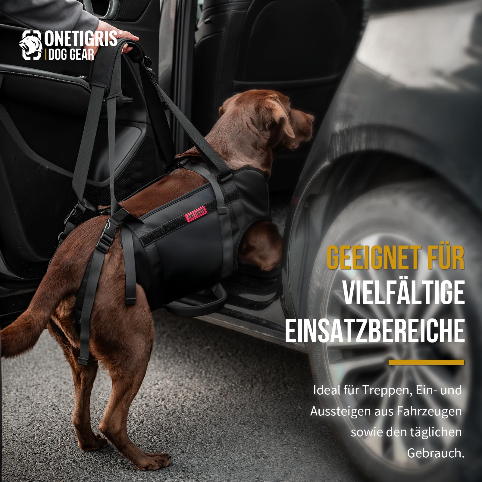 OneTigris Imbracatura per sollevamento cani, pettorina di supporto per cani anziani, feriti e riabilitanti, protegge le articolazioni, traspirante e regolabile, con cinghie imbottite e maniglie per il