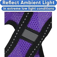 Vista 3 de Pawtitas Arnés reflectante de malla para perro, para entrenar a tu cachorro o perro, no más tirones, ni apretar o asfixiar