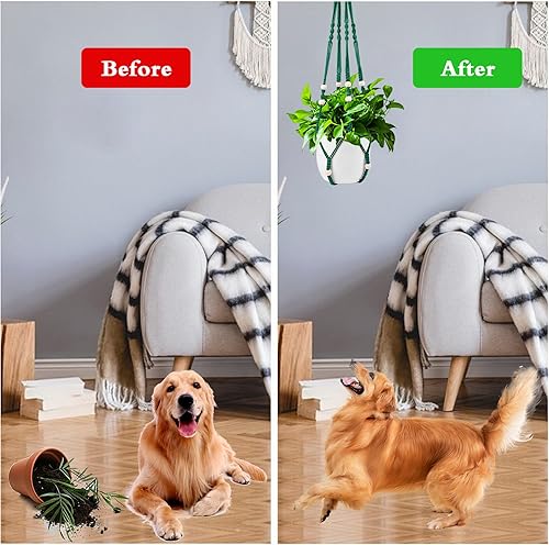 Vista 34 de Augshy 2 ganchos colgantes para plantas, para decoración de interiores y exteriores, macramé con 4 ganchos (35 pulgadas)