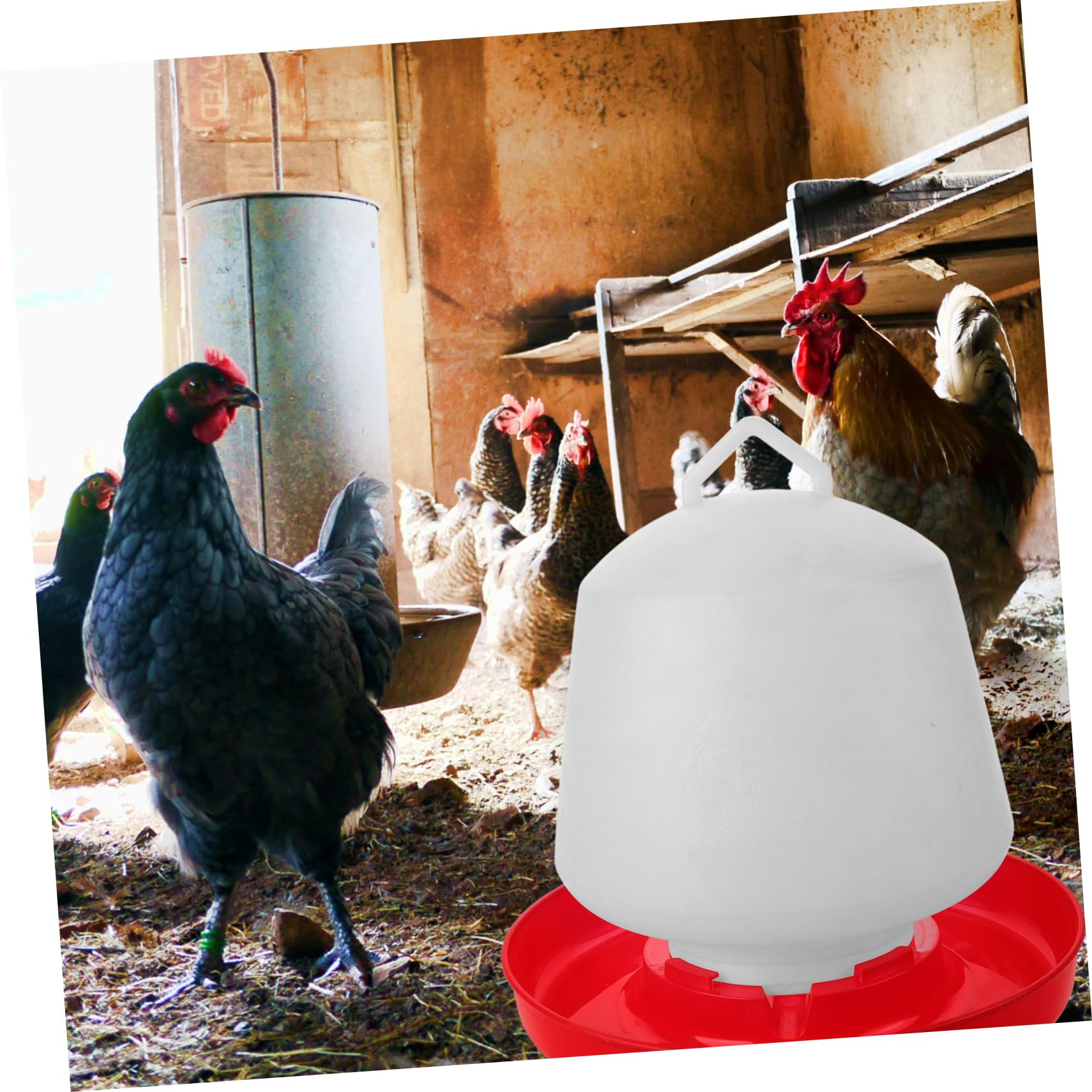 ibasenice Mangiatoia e Installazione Comoda Resistente alla Pressione per Pollame in Plastica Bianca Design Creativo per Alimentazione All'aperto di Polli e Piccioni