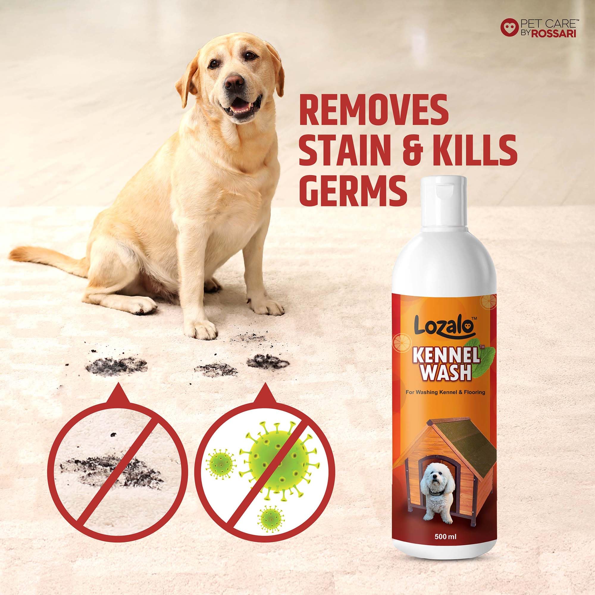 Lozalo Kennel Wash Liquid 500ml for Washing Dog Kennel & Flooring, Pet Shops, Veterinary Clinics & Grooming Salons (Red) 1