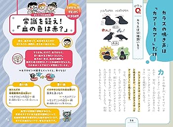 81NR85PFG9L._AC_UF350,