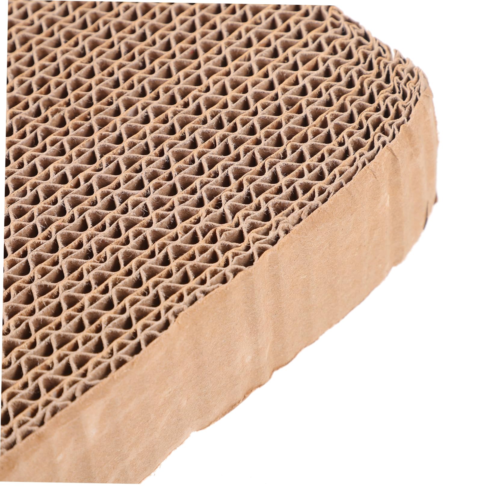 CAT'S PAWカードボード Amazon.com : Pawtasy Cat Scratching Board for Indoor Cats