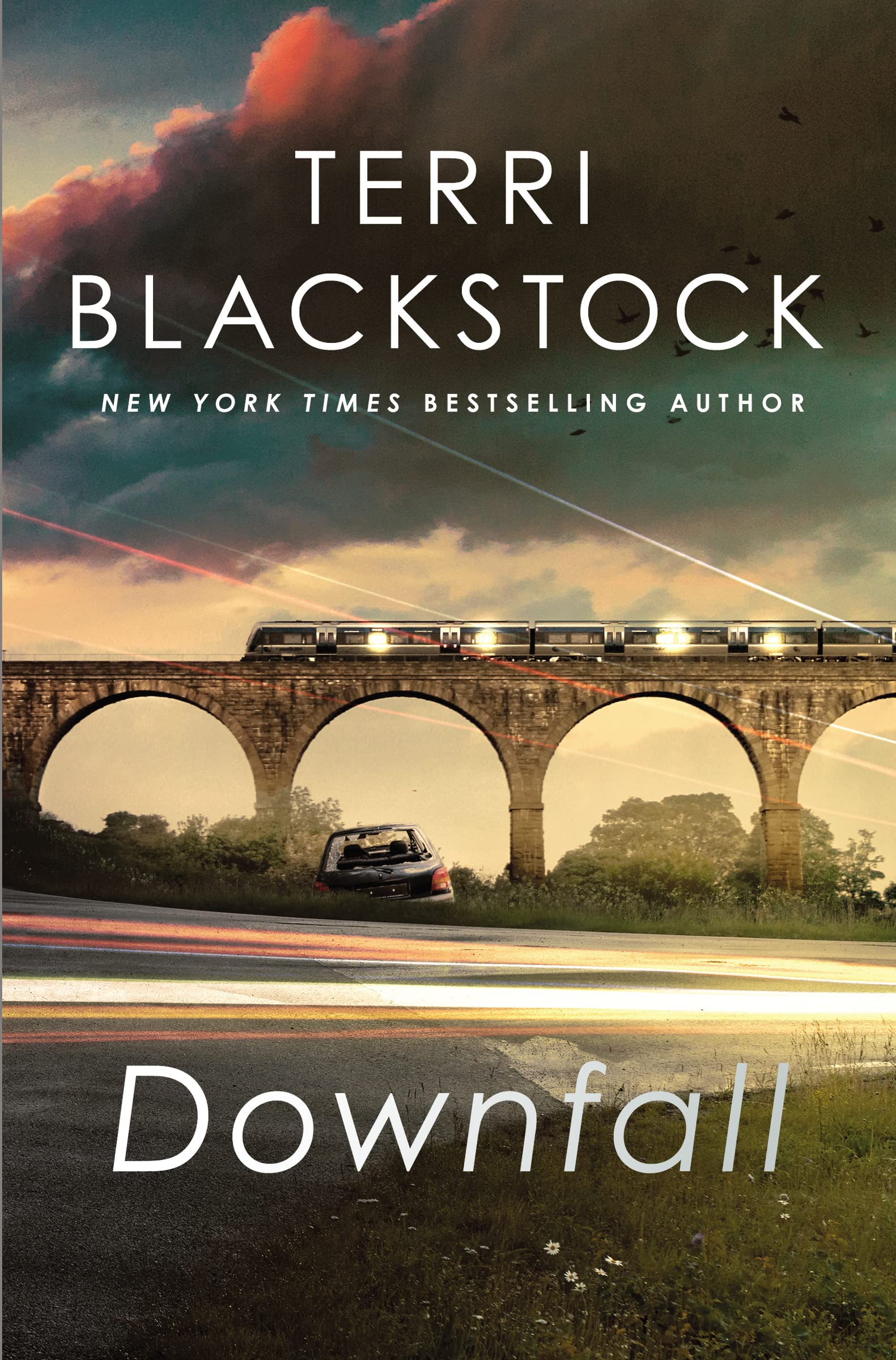 Downfall by Terri Blackstock - 9780785238294