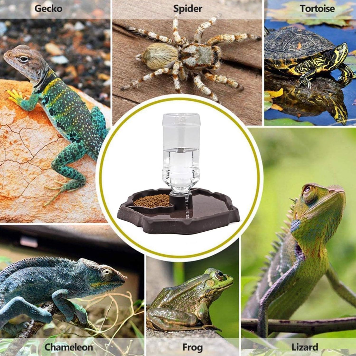 JOYOLA Bol à Eau pour Reptile, Distributeur d'eau pour Reptile Bol d'eau de Nourriture pour Reptiles Bol Reptiles 2 en 1 de Nnourriture Mangeoire Gamelle Tortue pour Tortues, Hamsters