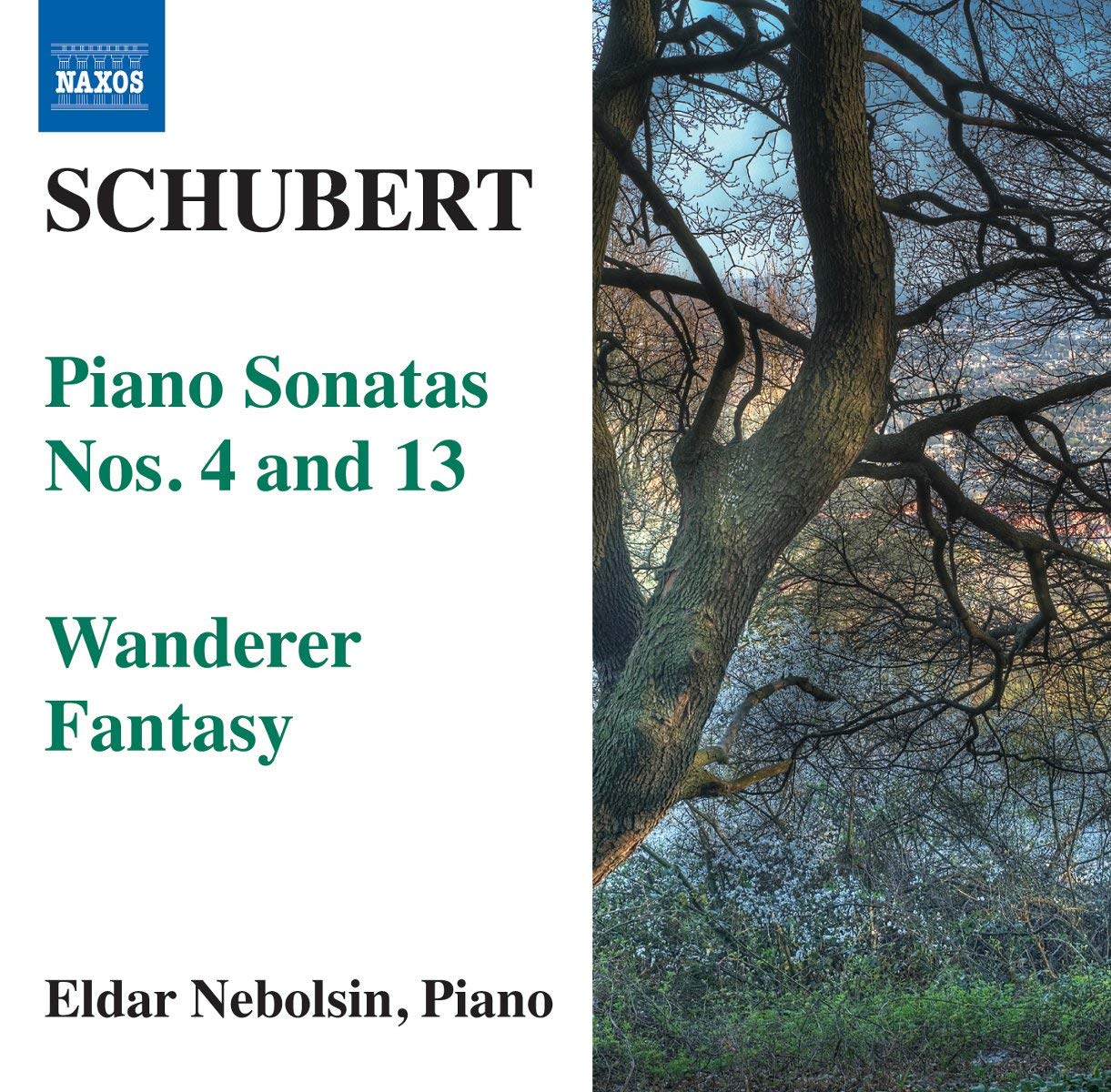 Schubert: Piano Sonatas