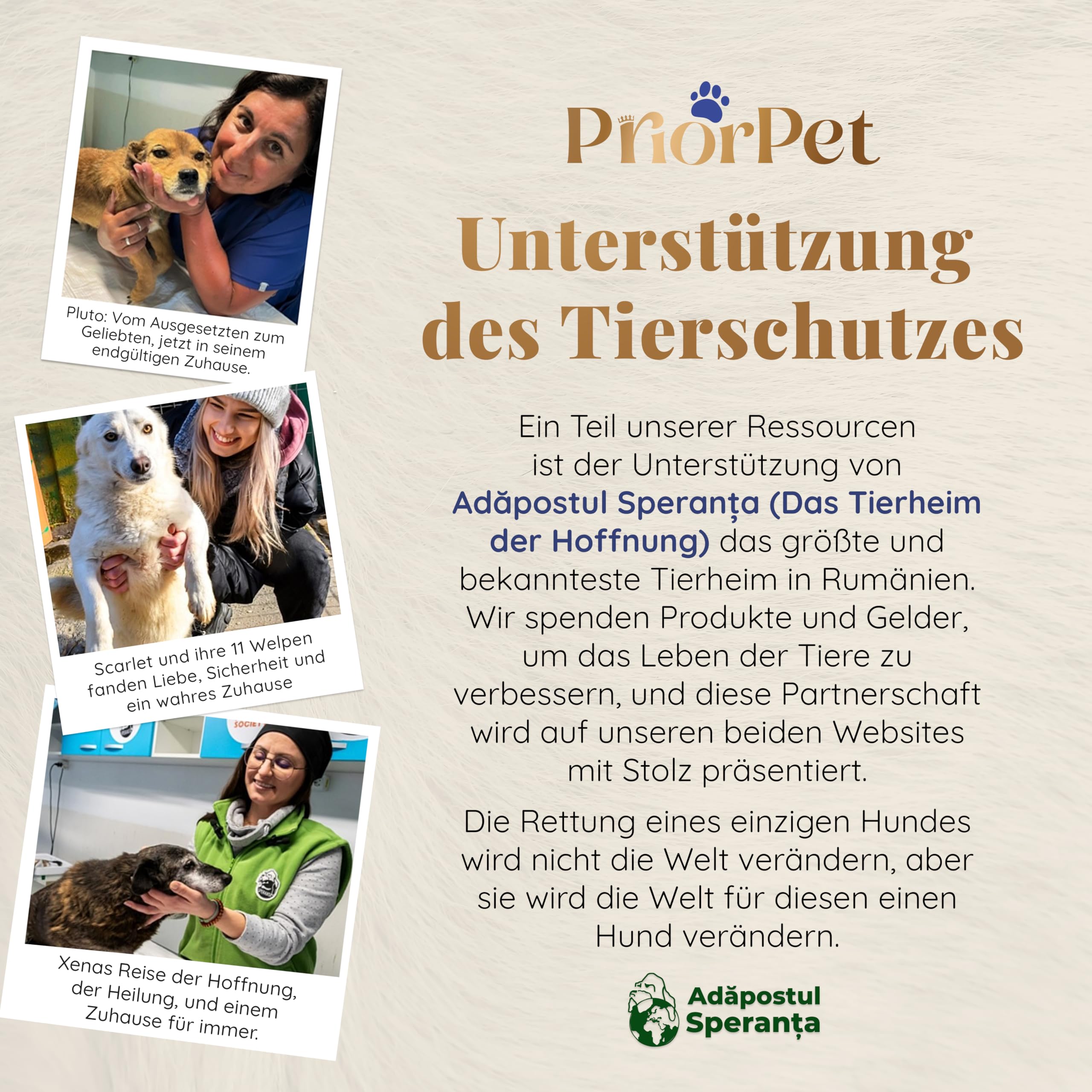 Hundetreppe für Bett und Sofa - 4 Stufen Hunderampe 58cm Hoch - Schaumstoff für Kleine Hunde - Sichere und Stabile Haustiertreppe - Abnehmbarer Waschbarer Bezug - Schwarz