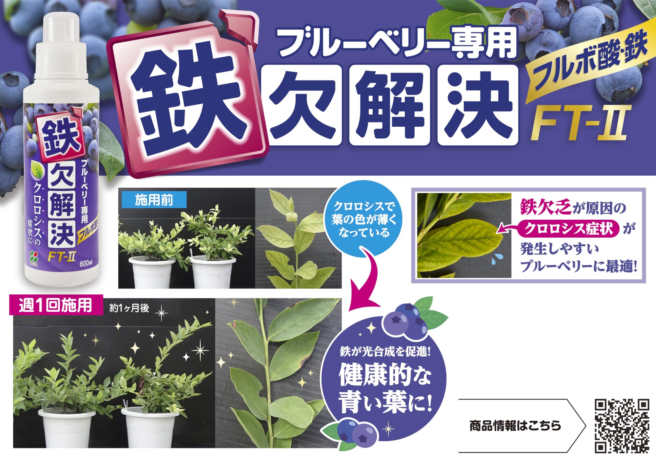 ブルーベリー 専用 Amazon.co.jp: 花ごころ ブルーベリー専用 鉄欠解決 FT-II : DIY