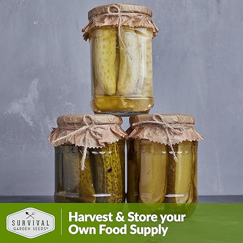 Miniatura 6 de 5 paquetes de semillas de pepino rectas de ocho para plantar, paquete con instrucciones para cultivar pepinos en decapado y rebanar pepinos en tu