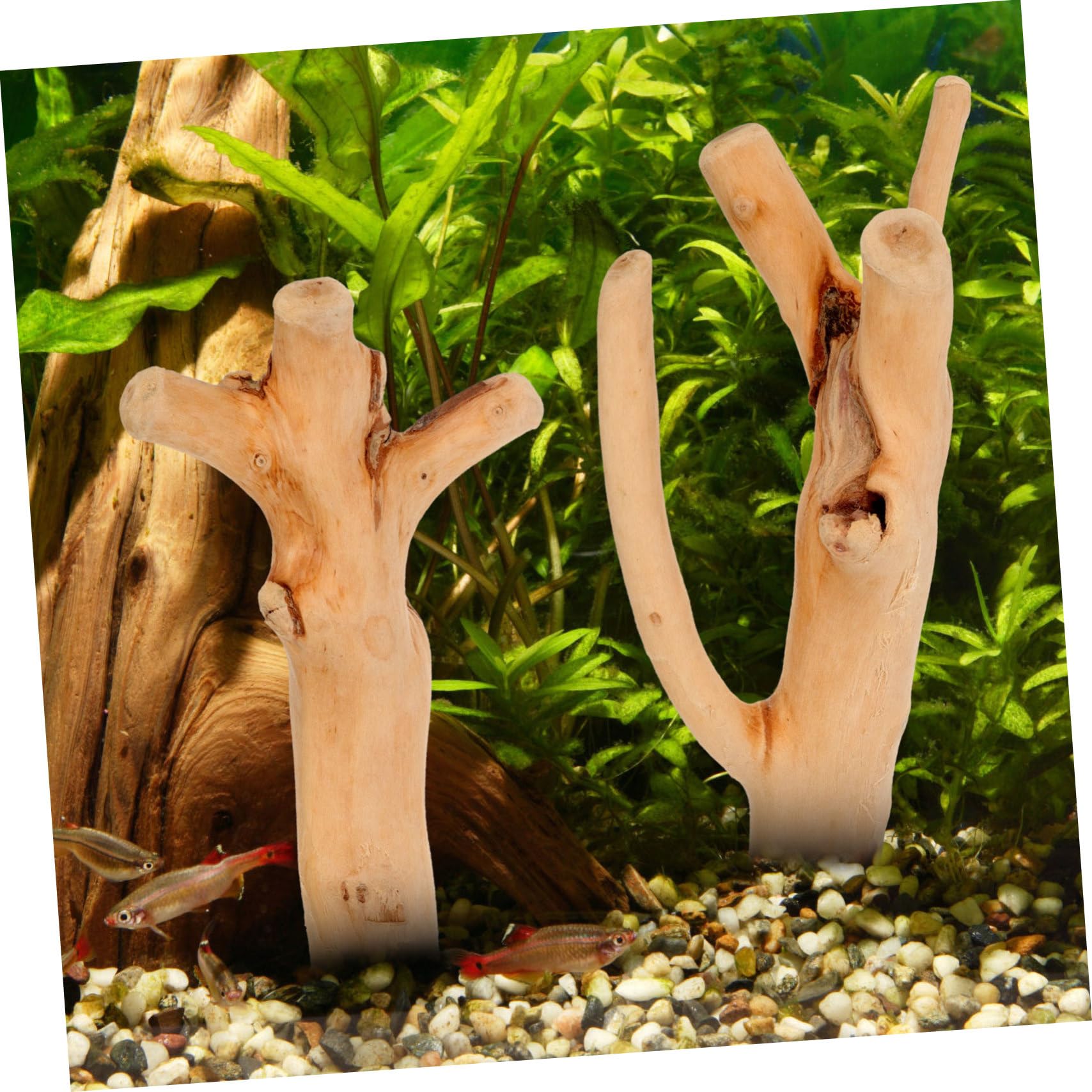 Parliky Natural Aquarium Driftwood 10pcs Real Driftwood Branch Fish Tank Decorations for Fish Keeping