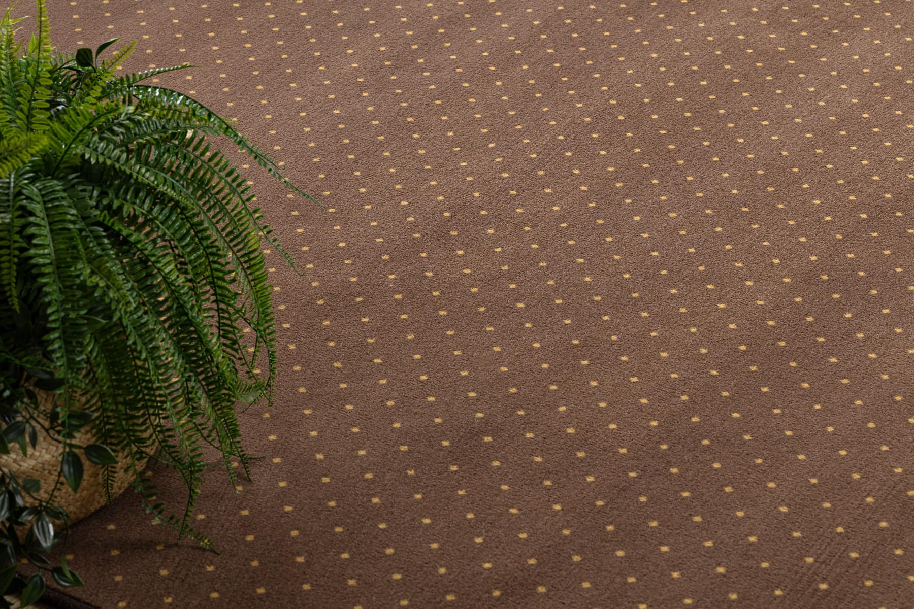 rugsx Tapis Aktua pour Salon et Chambre Marron Cercle 150 cm