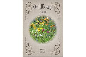 Seed Packets with 50 Varieties of Wildflowers