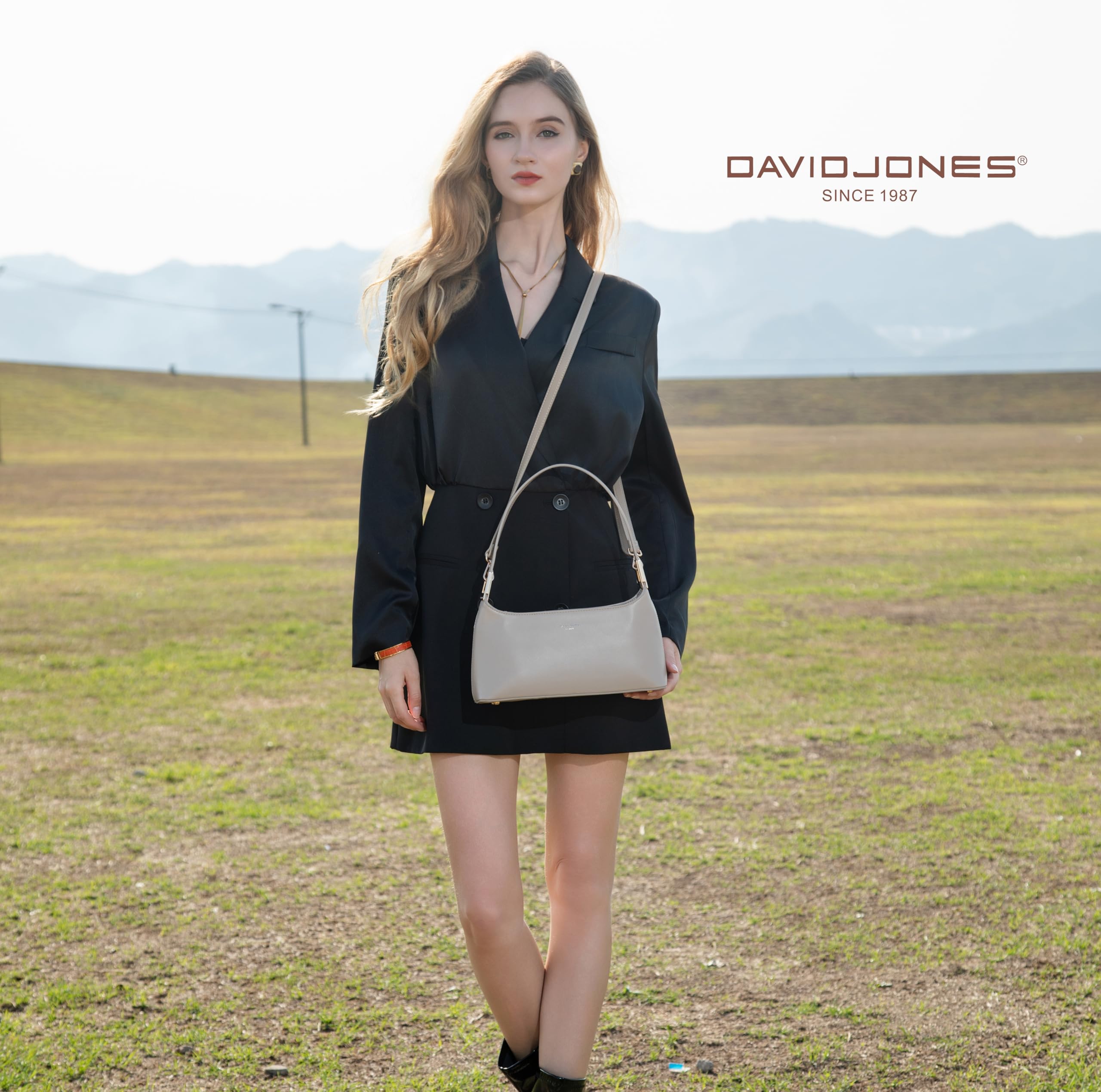 David Jones - Sac Porté Epaule Femme - Sac à Main Porté Sous Epaule Bras - Bandoulière Similicuir PU Rigide - Sac de Ville Mode Tendance Elegant pour Téléphone Portefeuille - Marron Taupe