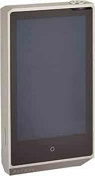 Amazon.co.jp: COWON ハイレゾプレーヤー PLENUE R 128GB Bluetooth