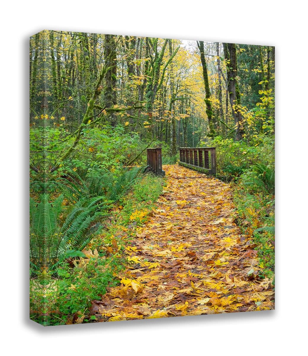 Wild, Jamie and Judy - EX_66_US48 JWI5543 - WA-Tiger Mountain-Leaf Covered Trail