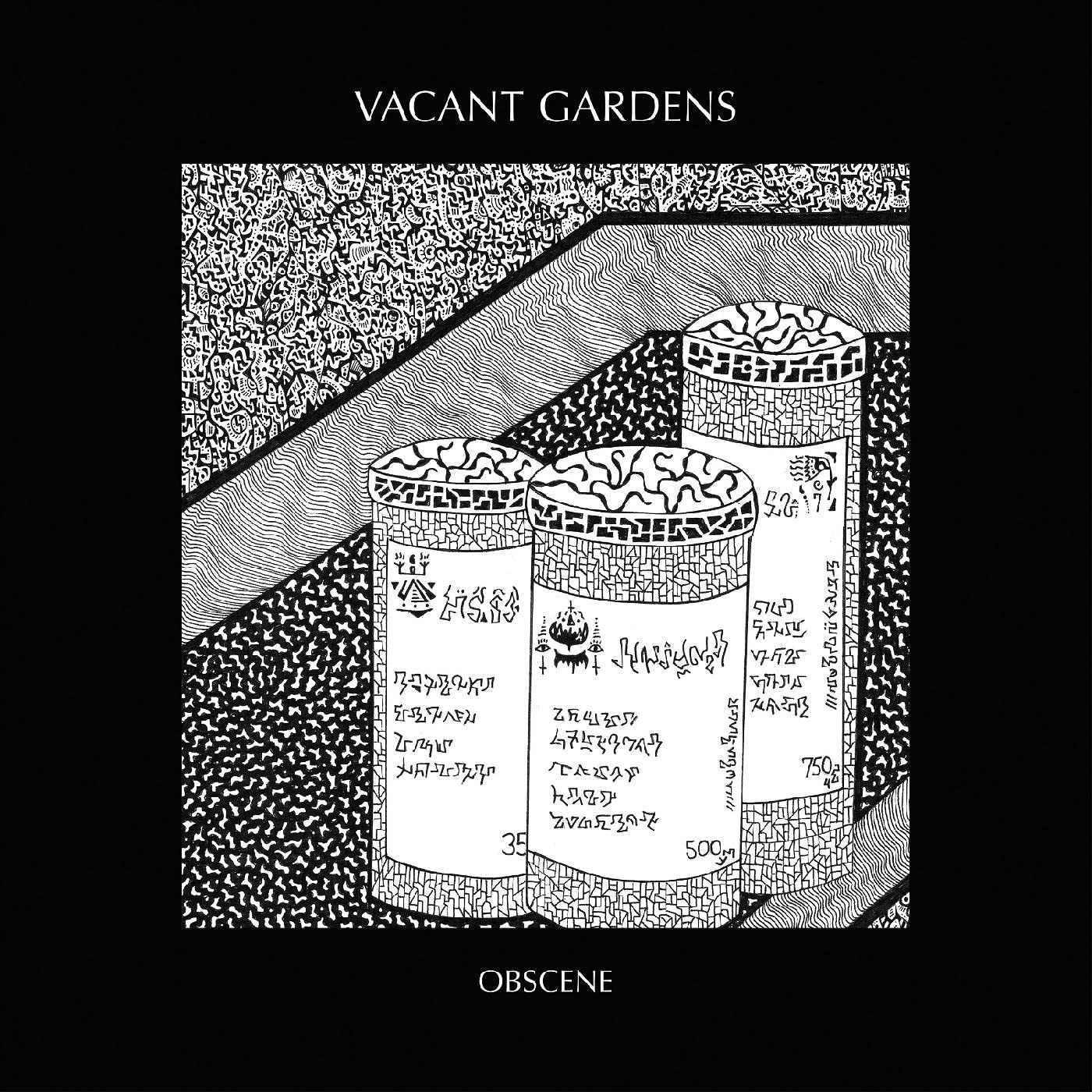 Obscene by Vacant Gardens Vinyl Record, 2022 New Sealed
