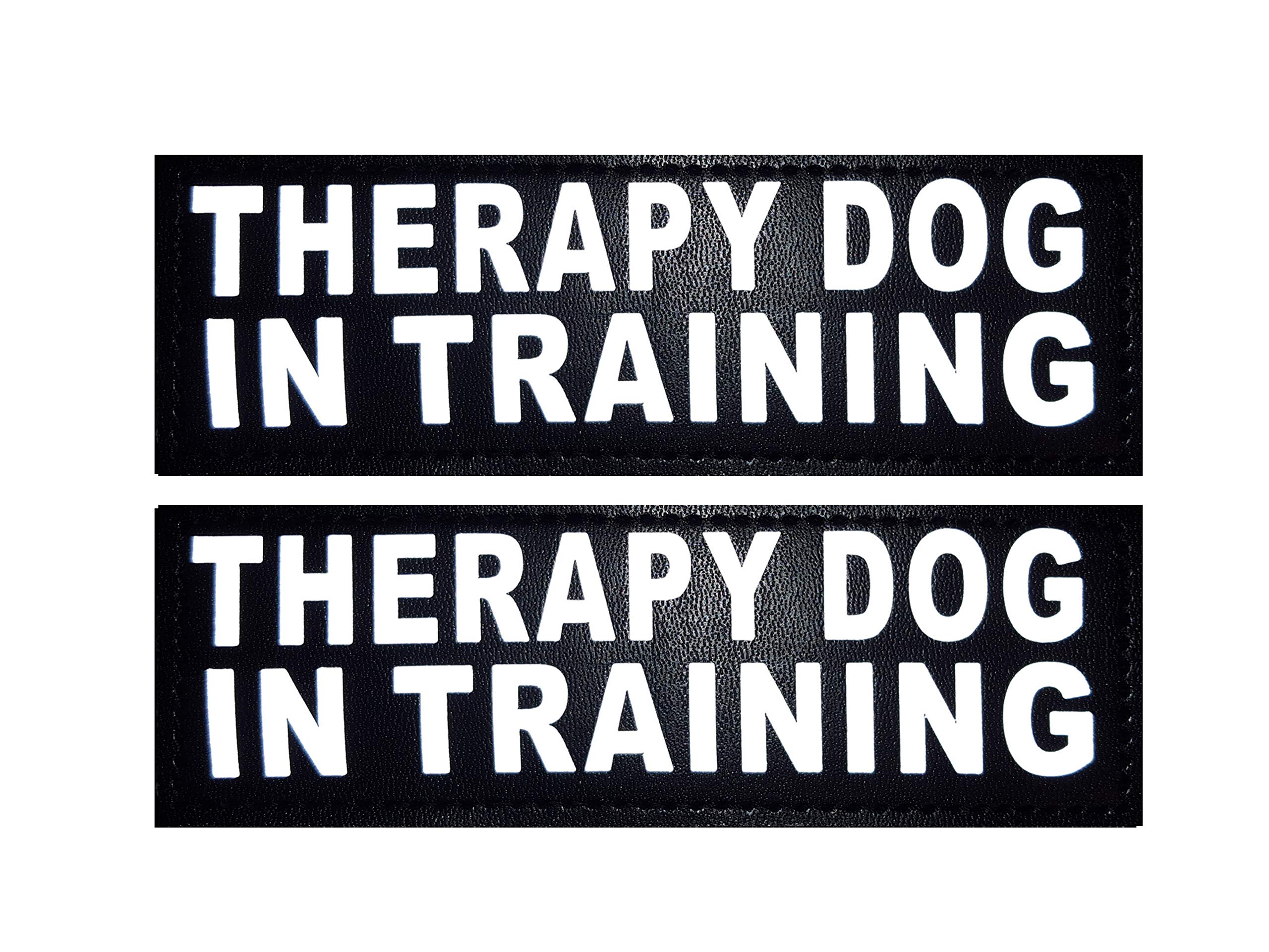 Doggie Stylz Set of 2 Reflective Therapy Dog in Training Removable Patches with Hook Backing for Working Dog Harnesses & Vests. Durable and